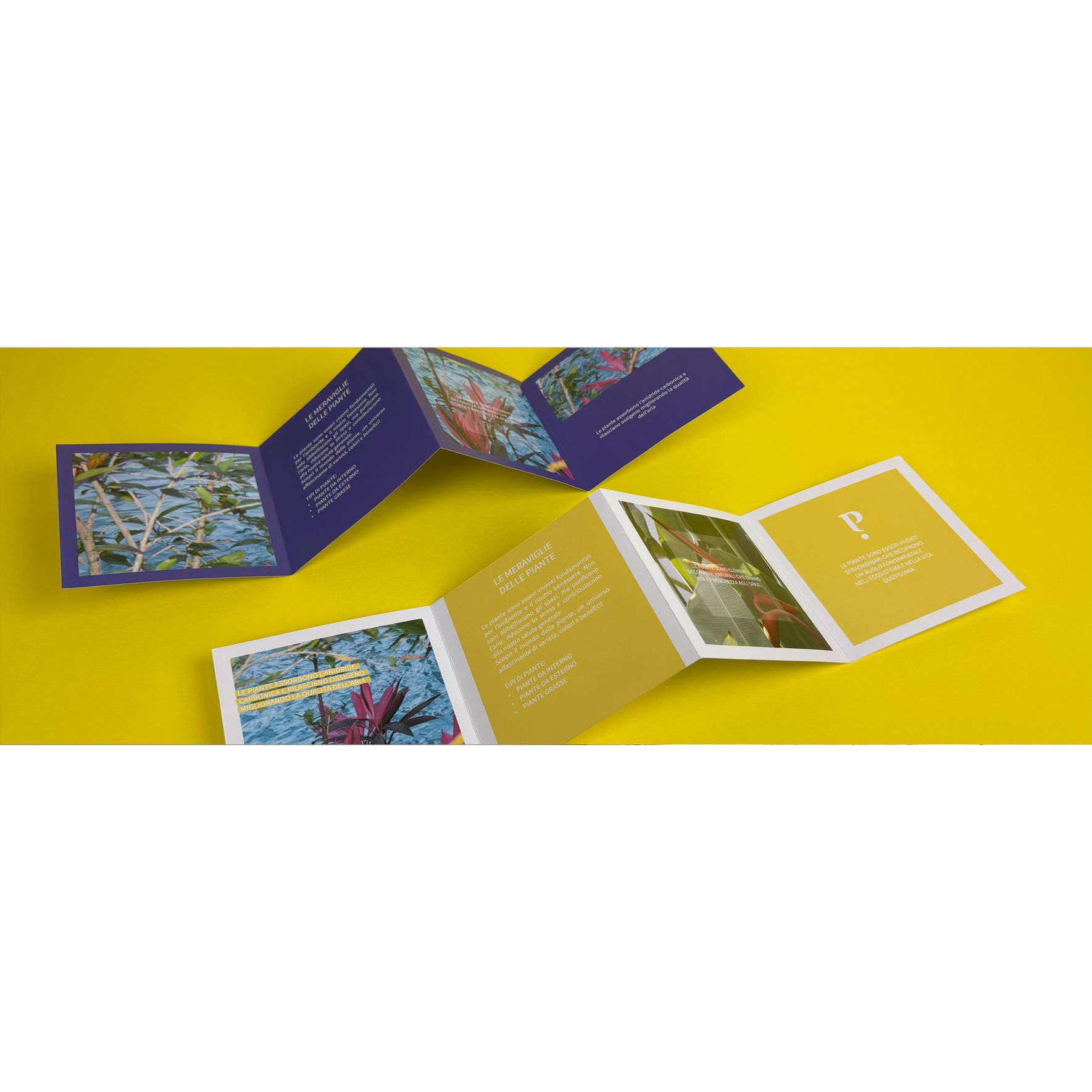 Brochure e Company Profile (pieghevoli)